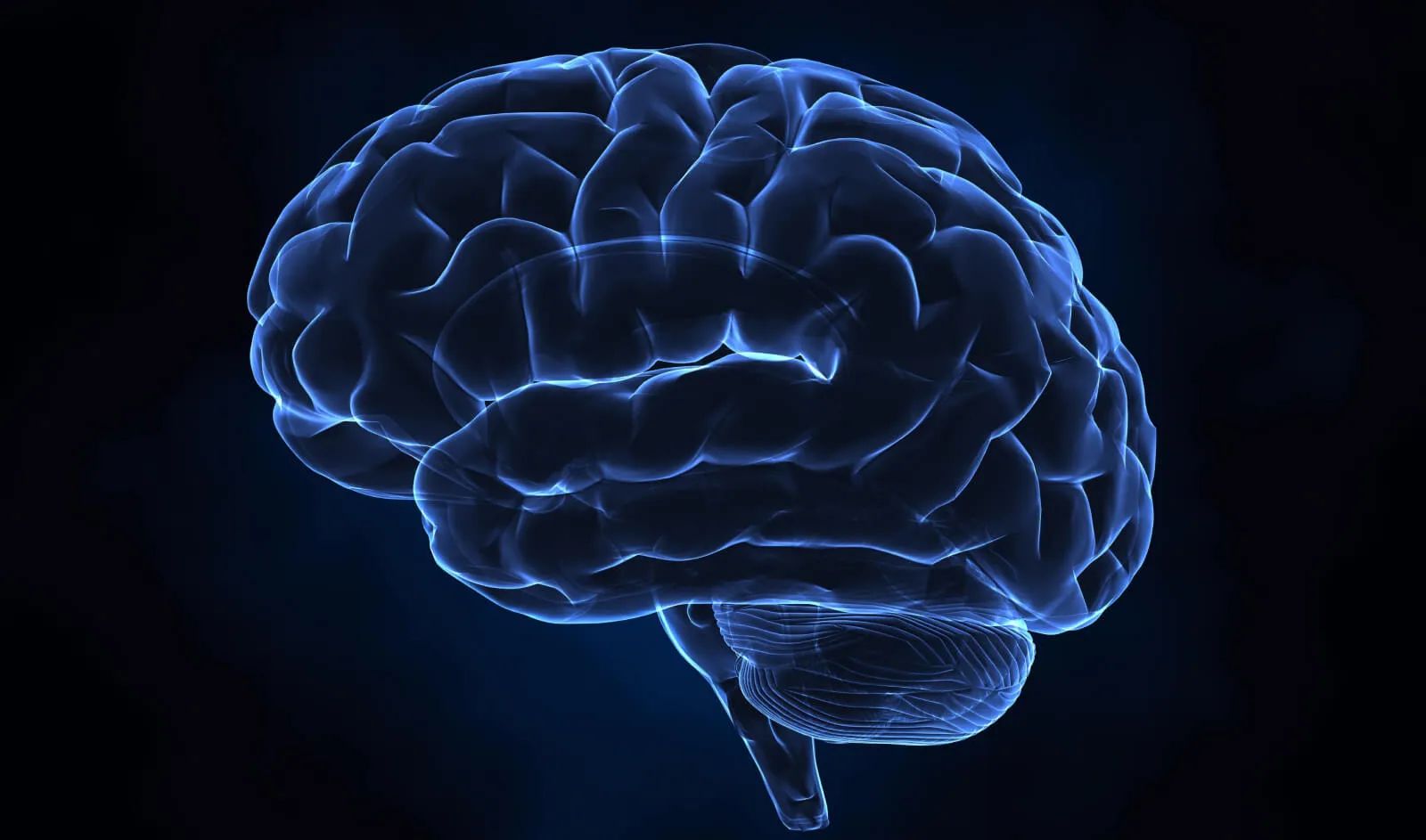 Medical Imaging Integration Services